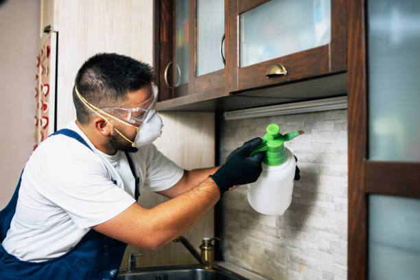Best Cockroach Control Services  in Marathon, FL