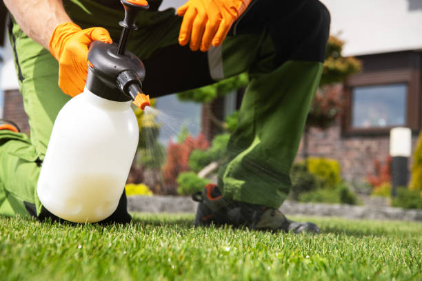 Best Pest Control Near Me in Marathon, FL