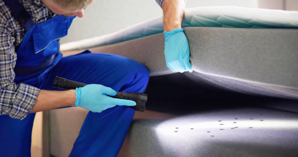 Best Emergency Pest Control  in Marathon, FL