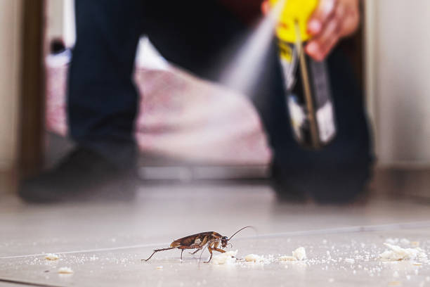 Best Mosquito Control Services  in Marathon, FL